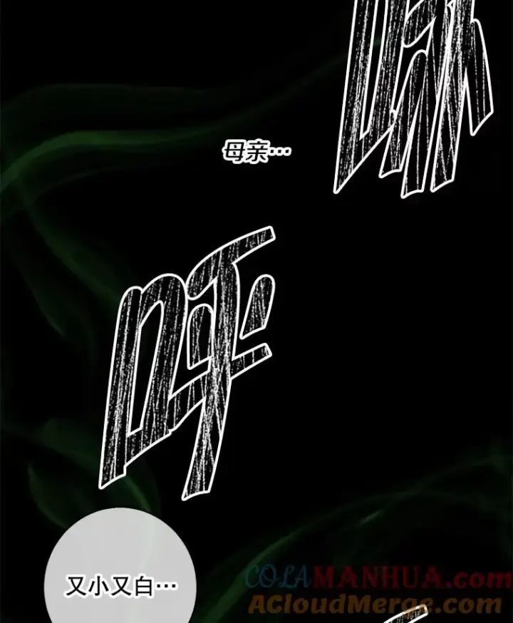 漫画《我在小说里当无赖》108.醒酒汤第33张图