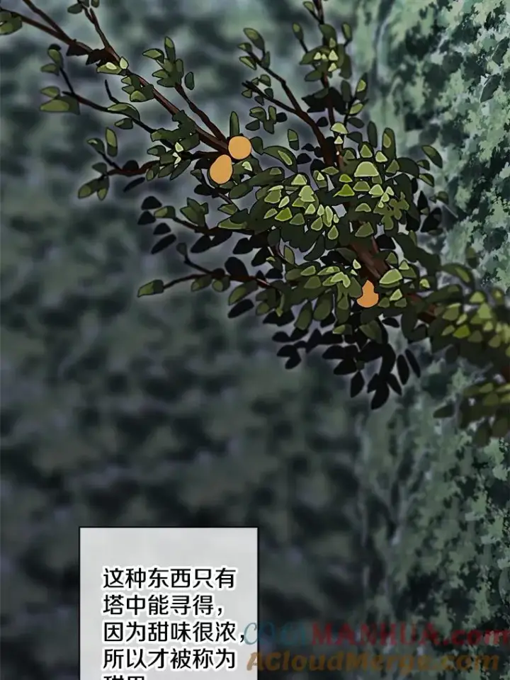 漫画《我在小说里当无赖》149.一层的攻略法第37张图