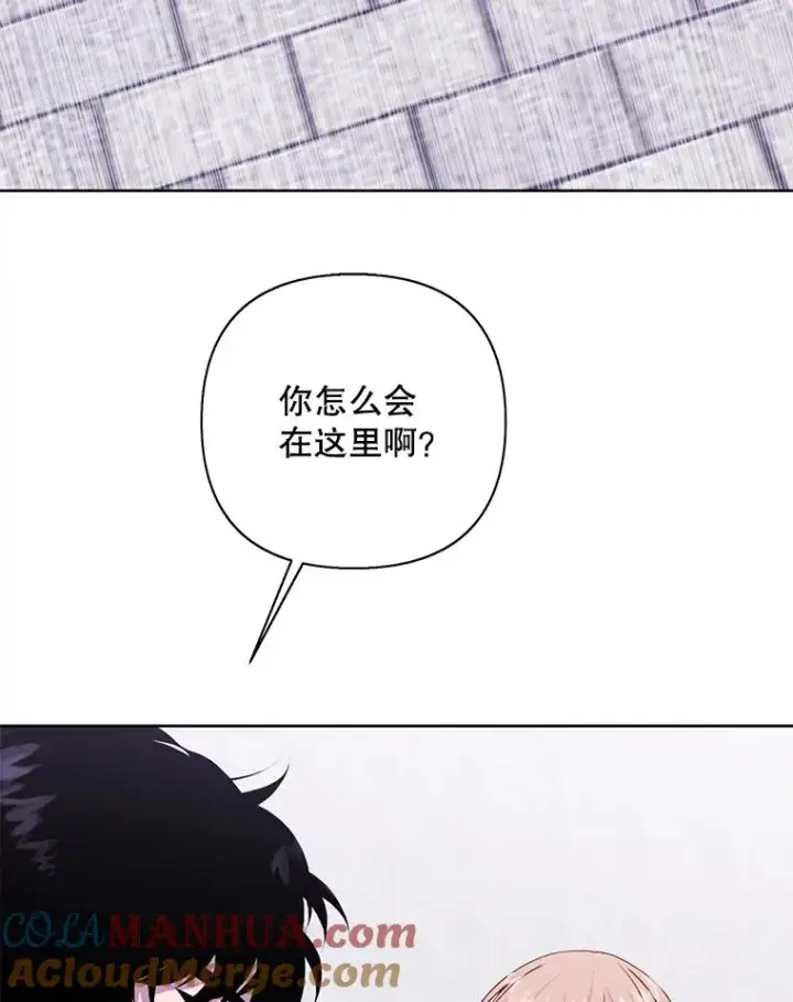 漫画《我在小说里当无赖》159.新的搭档第58张图