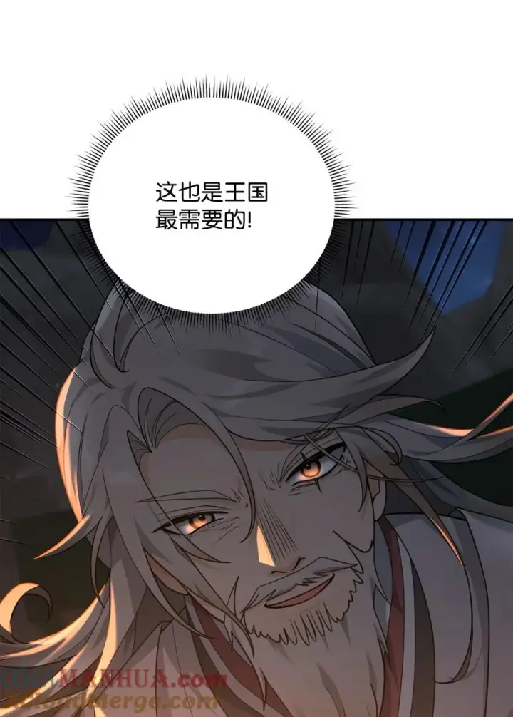 漫画《我真不想当奸臣》17 胜利之法第85张图