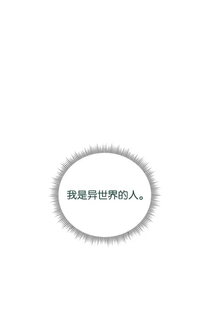 《我真不想当奸臣》38 王国形势图41