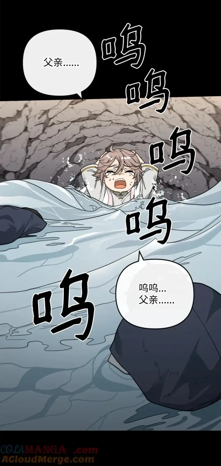 《我真不想当奸臣》46 生死未卜图52