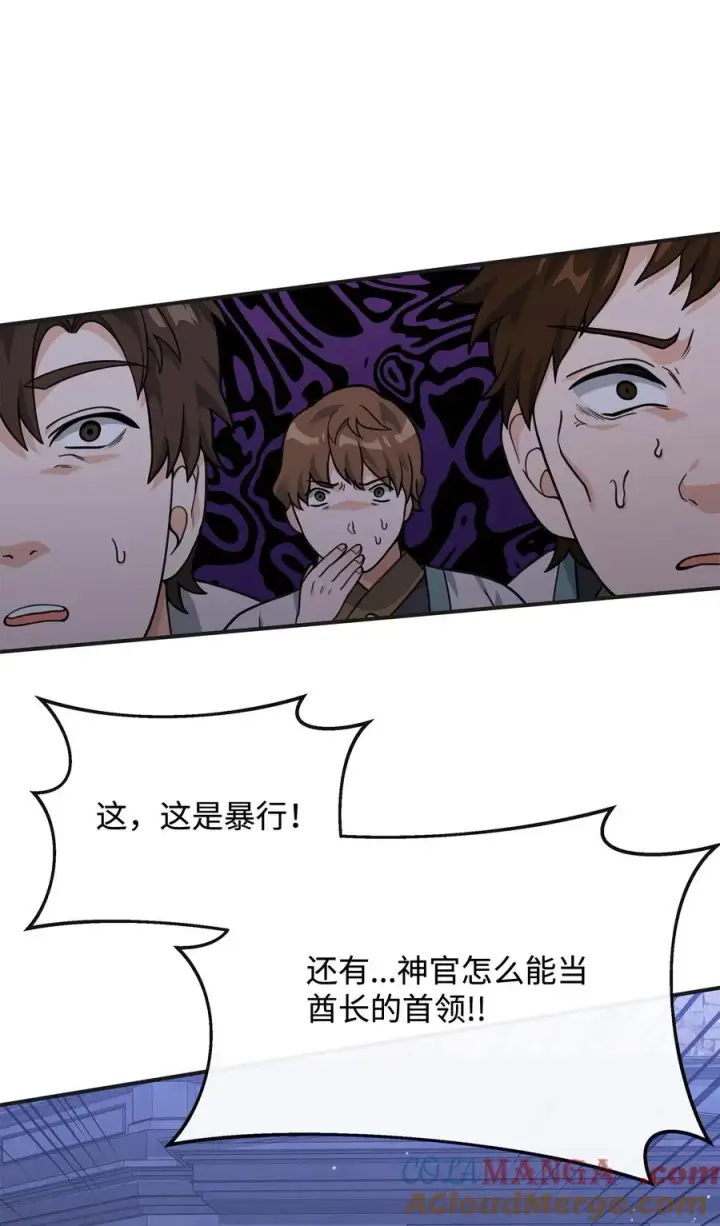 《我真不想当奸臣》48 一锤定音图49