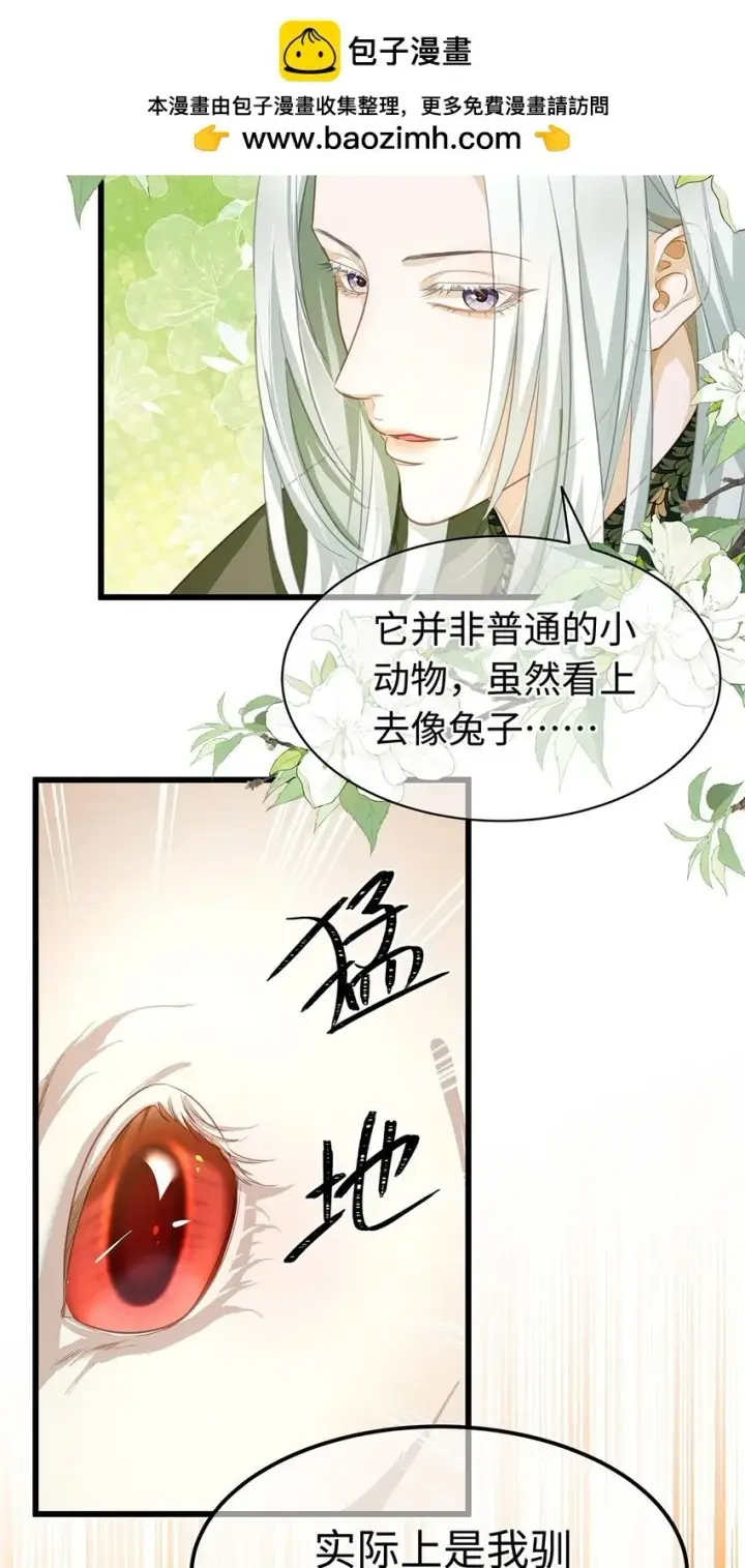 漫画《我重生成为王子殿下的小恶龙》14 蘑菇会说话？第10张图