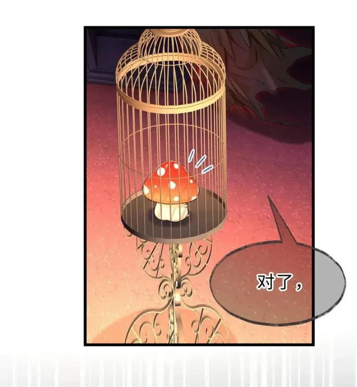 漫画《我重生成为王子殿下的小恶龙》51 真假蘑菇第17张图