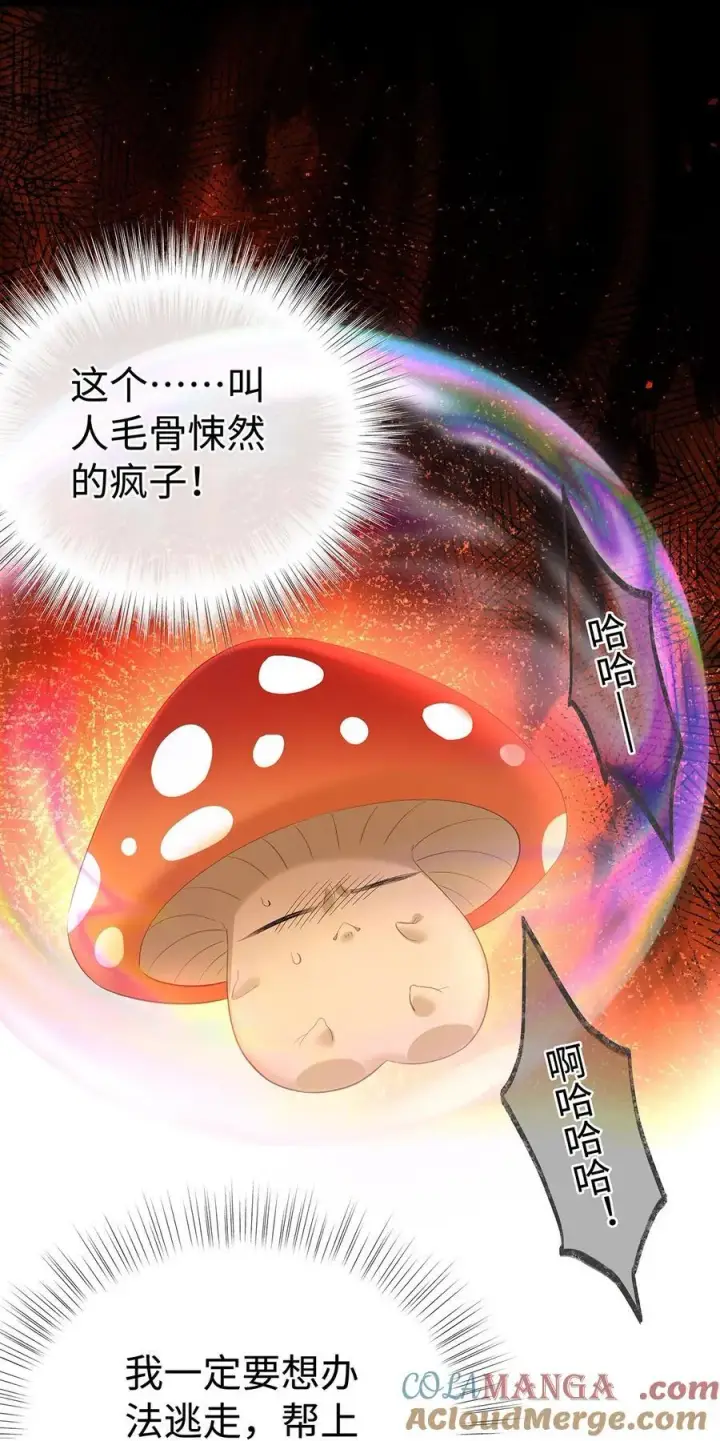 漫画《我重生成为王子殿下的小恶龙》55 你到底是谁第25张图