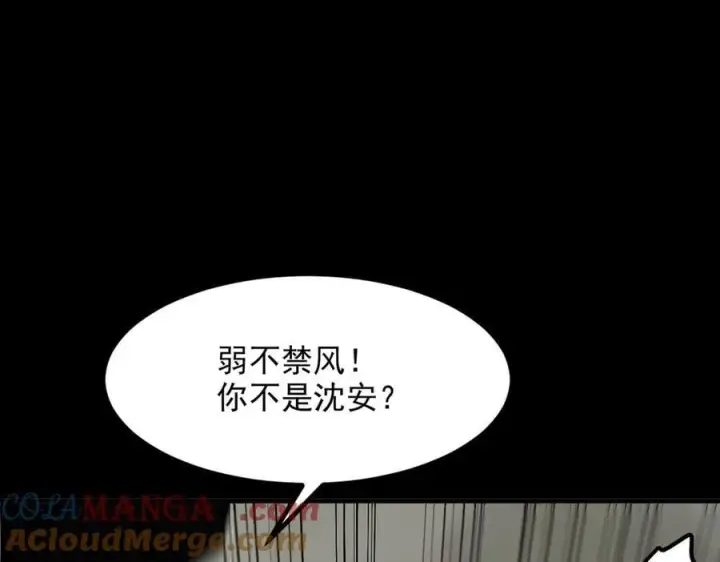 《我主宰了灵气复苏》第47话 宋家高手出山图85