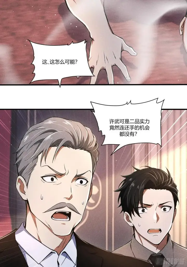 《我主宰了灵气复苏》131 许家不过如此图24