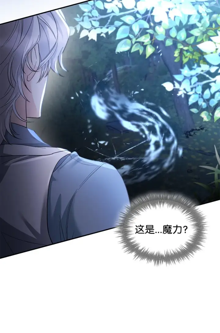 漫画《无法抵抗的，来自恶女的诱惑》59 米哈尔危险第29张图