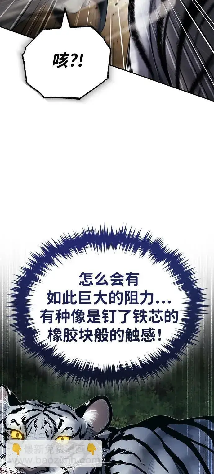 《武林世家绝症公子》[第19话] 那不是普通的猛虎图70
