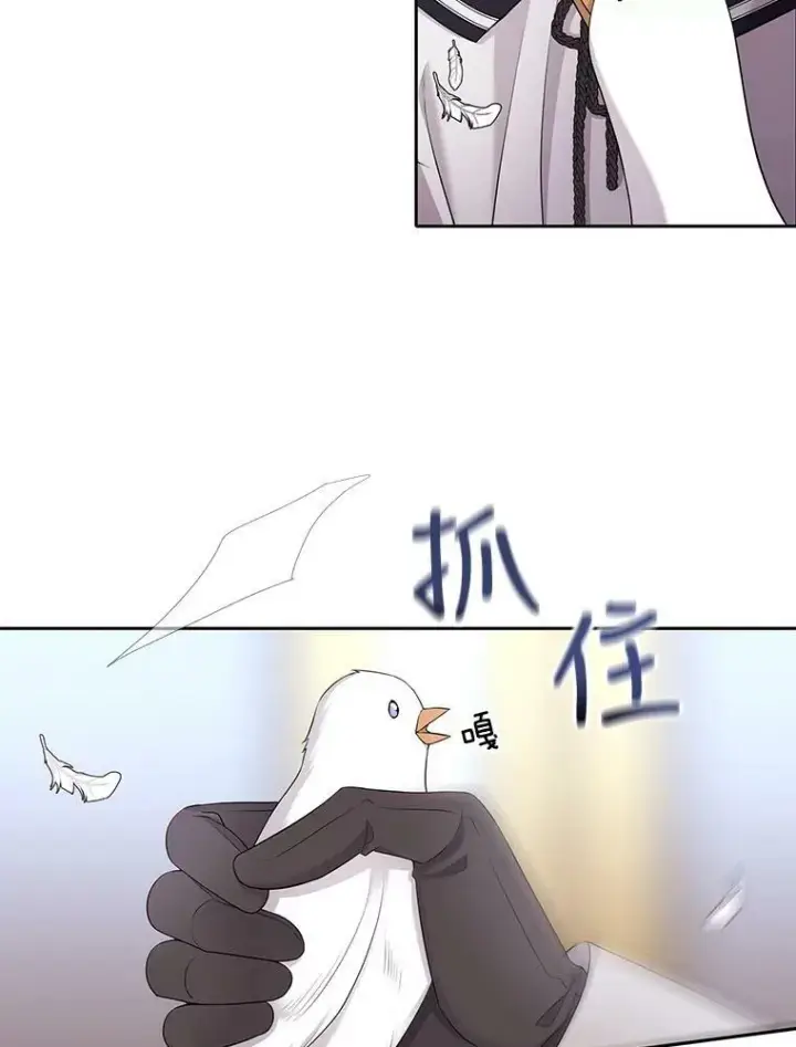 漫画《夏洛特与五门徒》119.碰面第12张图