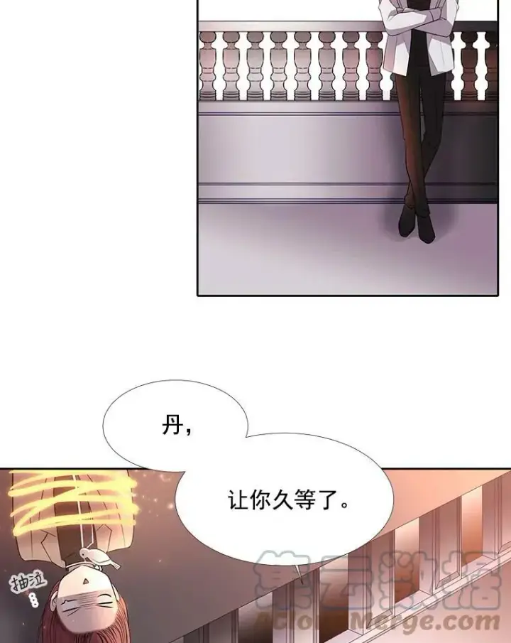 《夏洛特与五门徒》19.出使玛贝尔图46