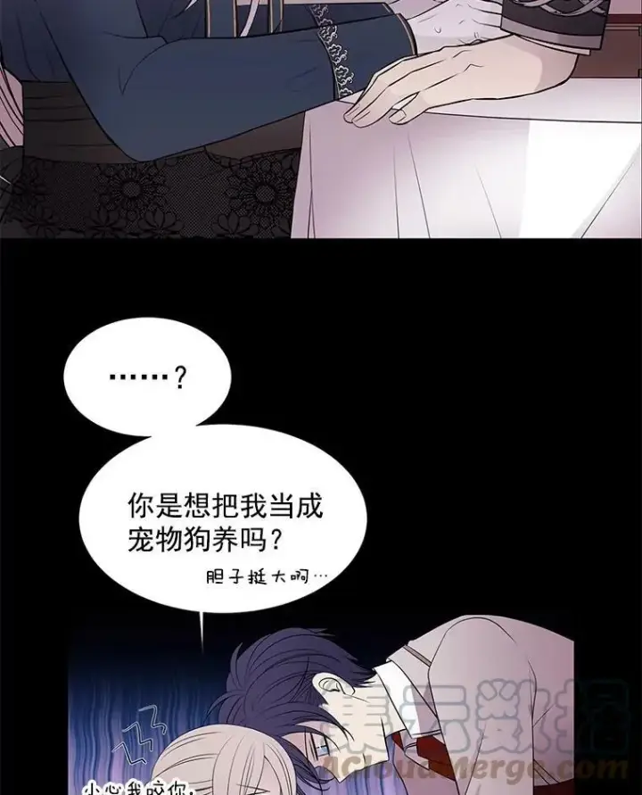 《夏洛特与五门徒》21.使团见面图40