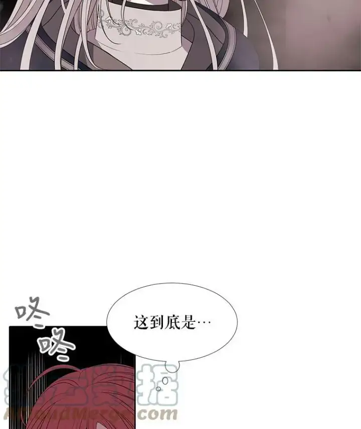 《夏洛特与五门徒》49.不明魔兽图31