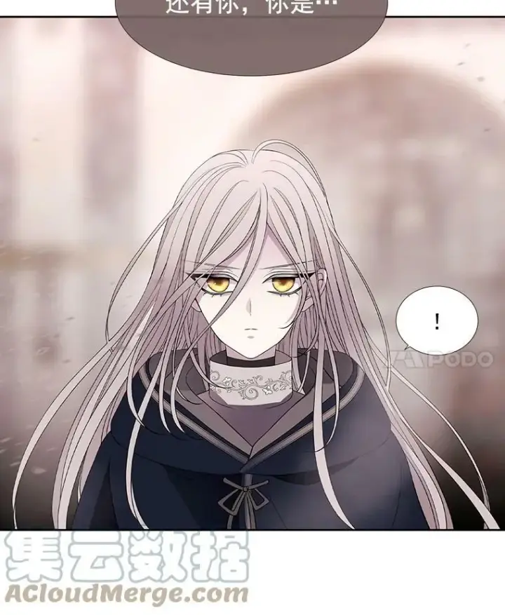 《夏洛特与五门徒》49.不明魔兽图40