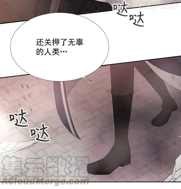 《夏洛特与五门徒》49.不明魔兽图55