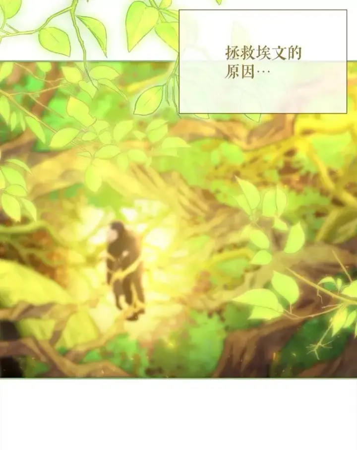 《夏洛特与五门徒》183.全新的力量图48
