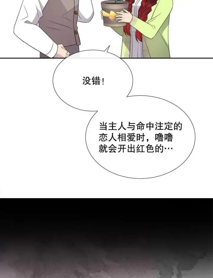 《夏洛特与五门徒》201.红云似花图6