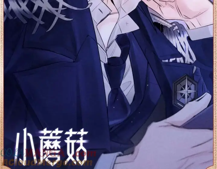 漫画《小蘑菇》夜语温光第2张图