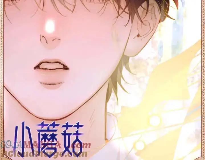 漫画《小蘑菇》光影诗篇第2张图