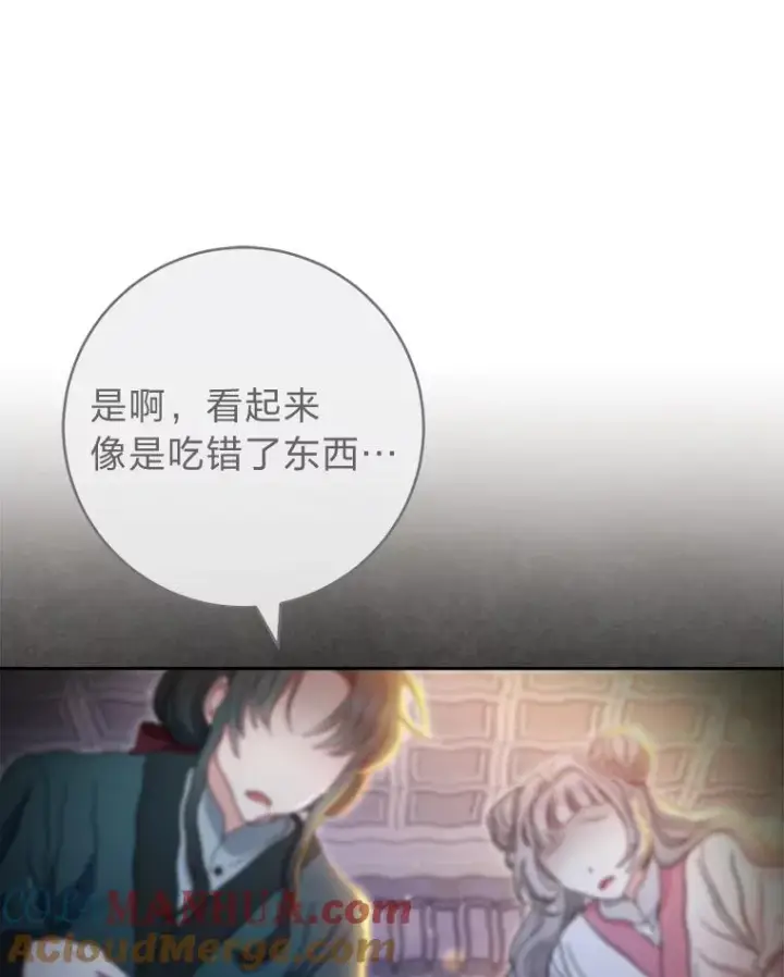 漫画《小嫔妃想要安安静静地生活》9.忧心忡忡的皇帝第93张图