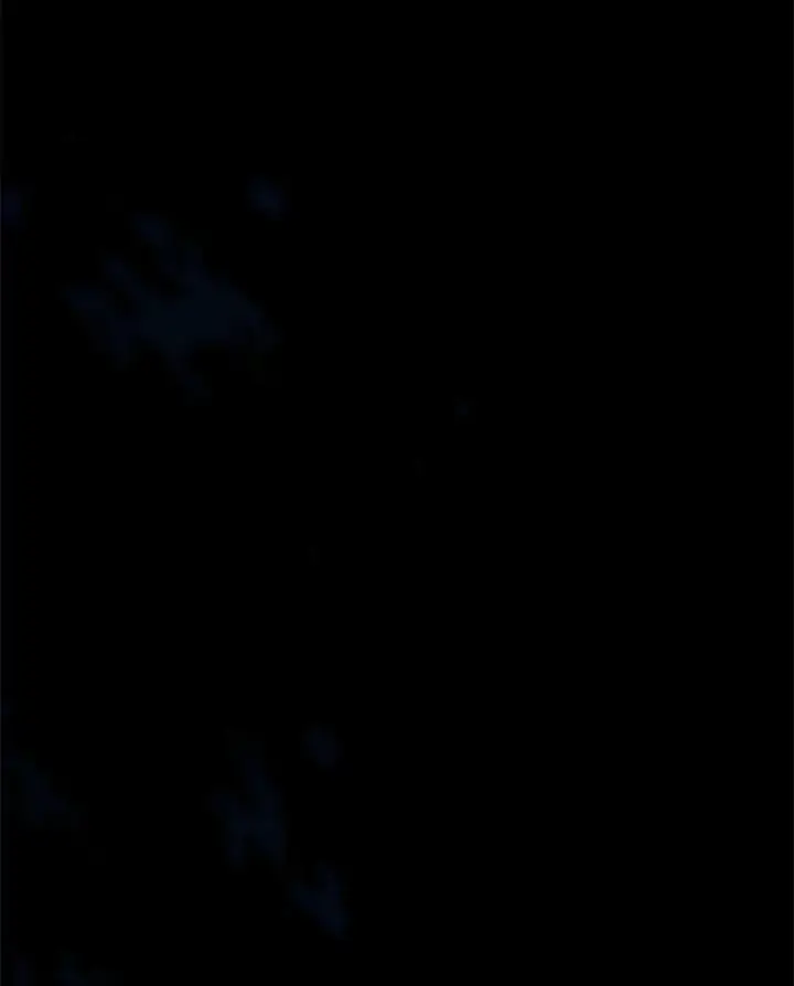 漫画《小嫔妃想要安安静静地生活》13.水中求生第78张图