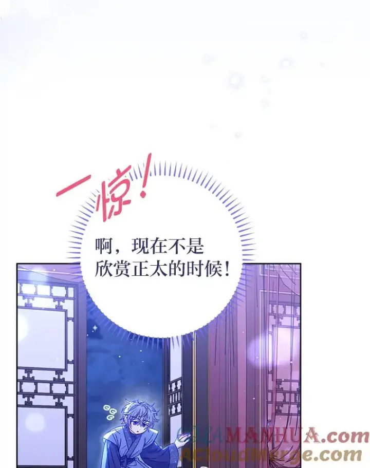 《小嫔妃想要安安静静地生活》14.我的小“影子”图101