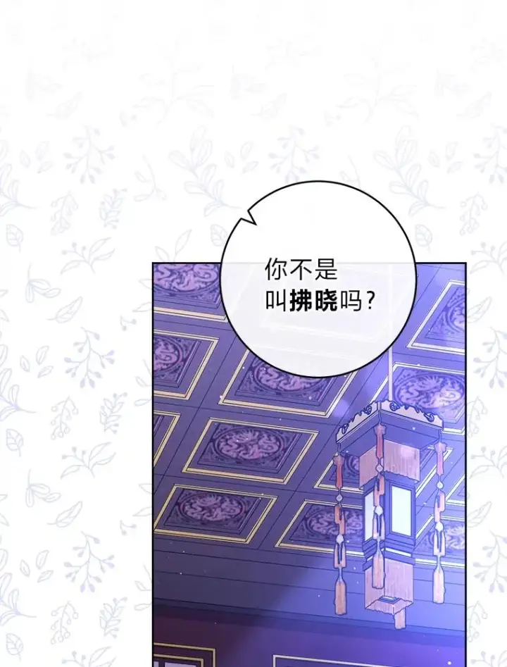 《小嫔妃想要安安静静地生活》14.我的小“影子”图124