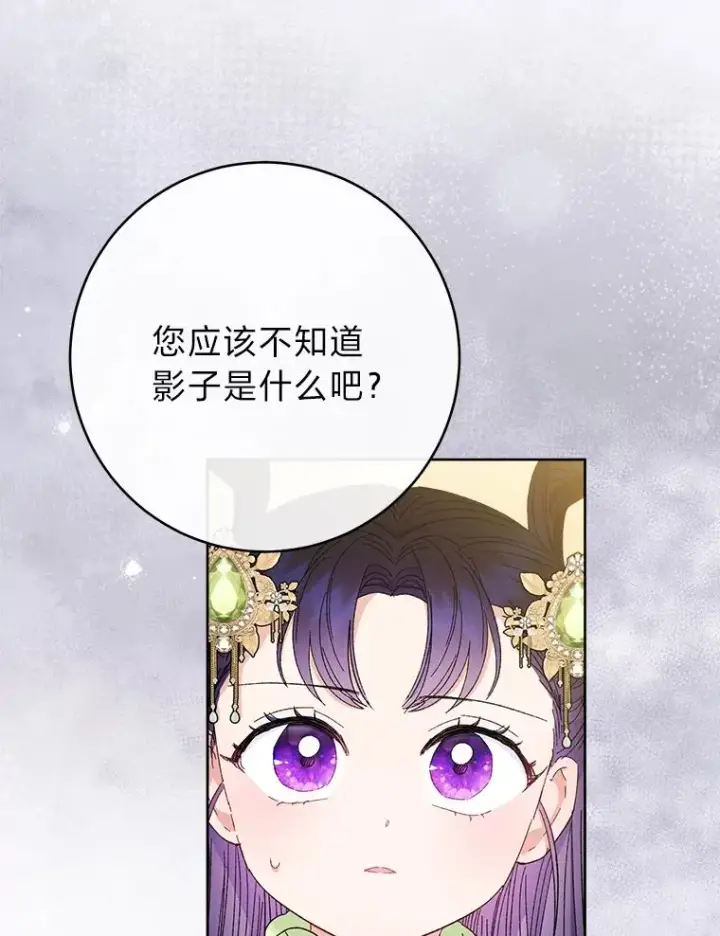 《小嫔妃想要安安静静地生活》14.我的小“影子”图6