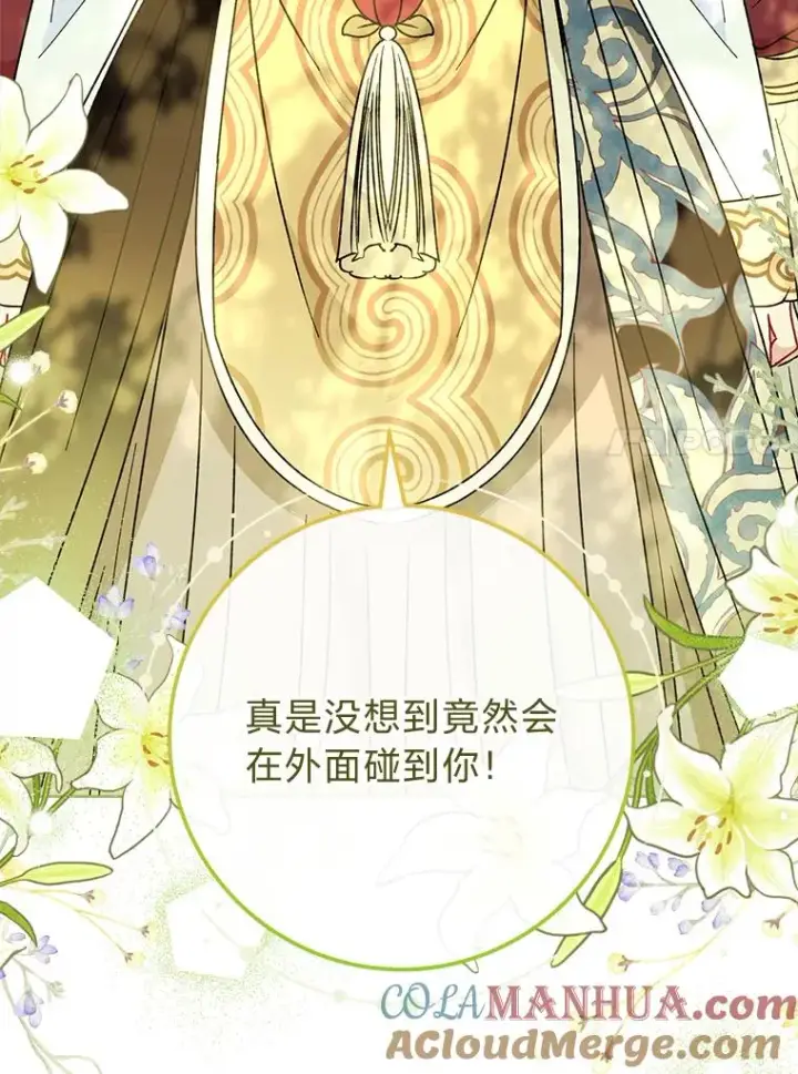 漫画《小嫔妃想要安安静静地生活》24.小殿下的传说第133张图