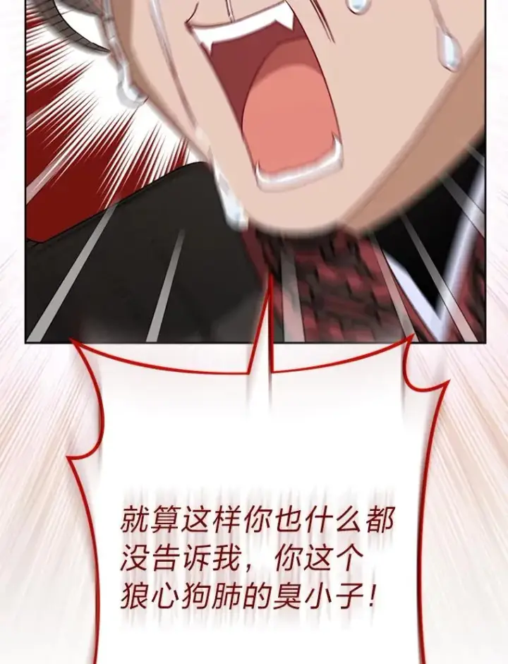 漫画《小嫔妃想要安安静静地生活》24.小殿下的传说第47张图
