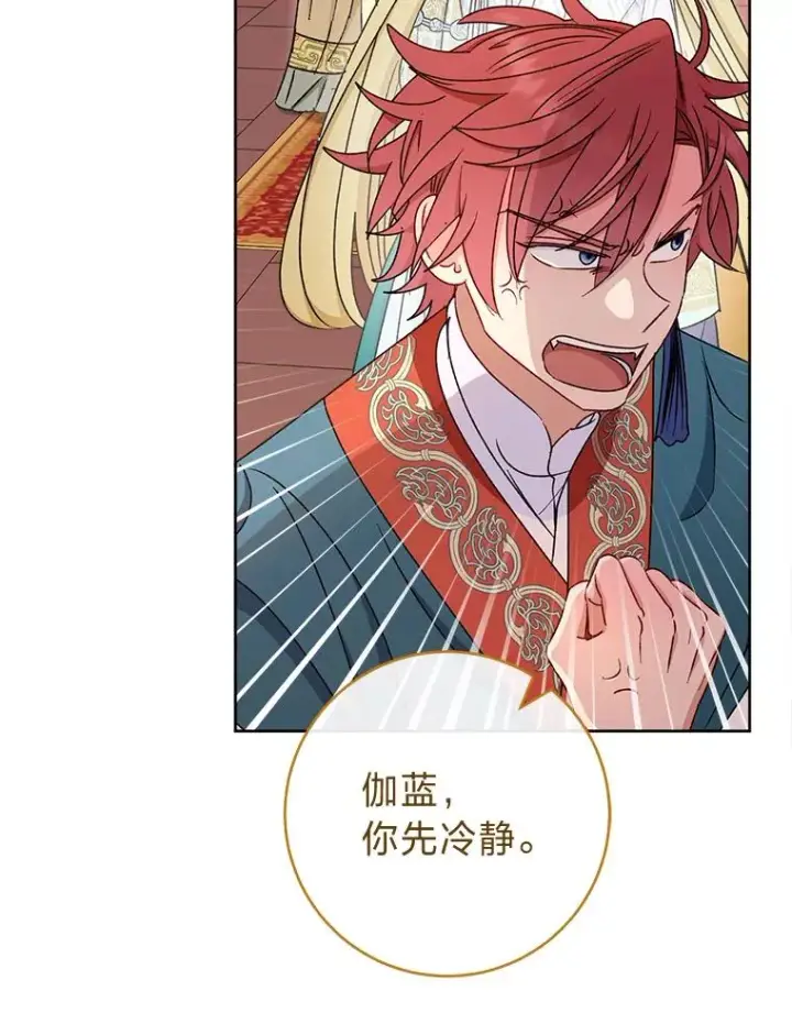《小嫔妃想要安安静静地生活》39.争先恐后当爸爸图32