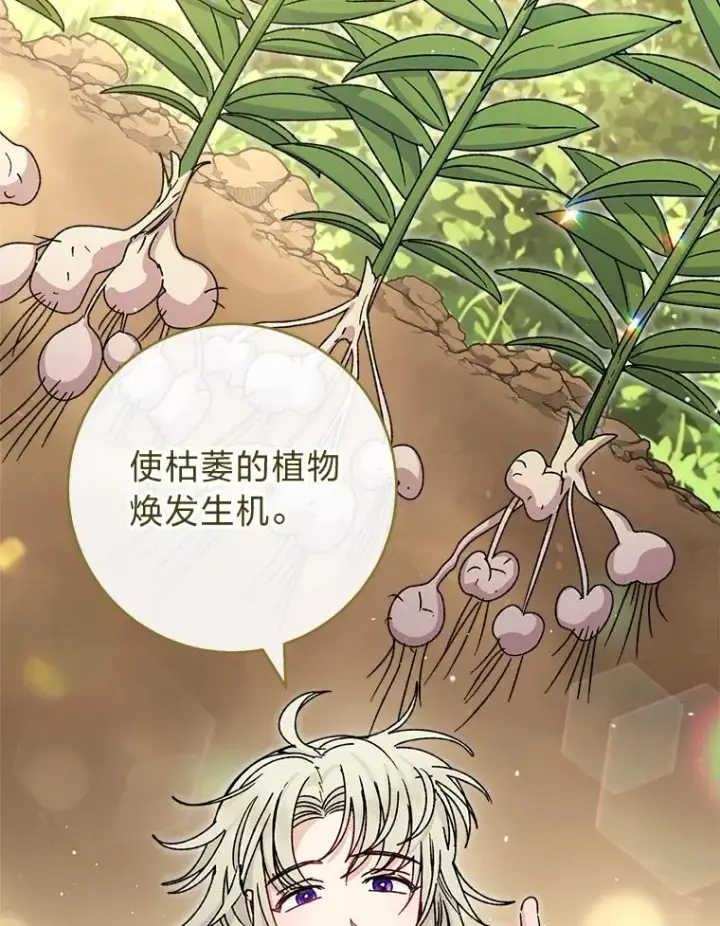 漫画《小嫔妃想要安安静静地生活》44.阿霞的另一面第31张图