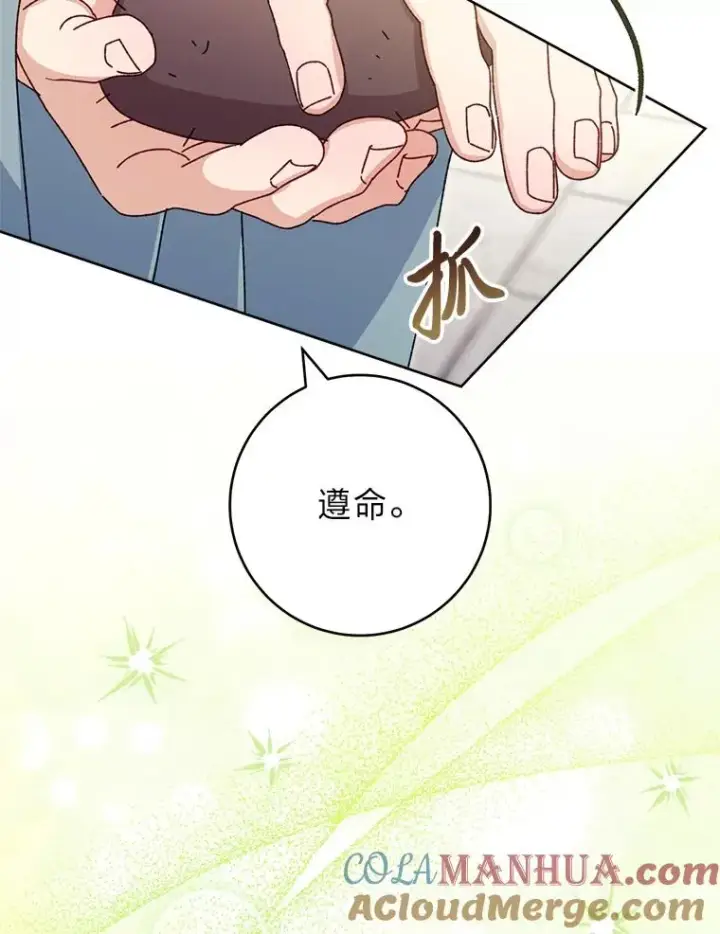 漫画《小嫔妃想要安安静静地生活》44.阿霞的另一面第53张图