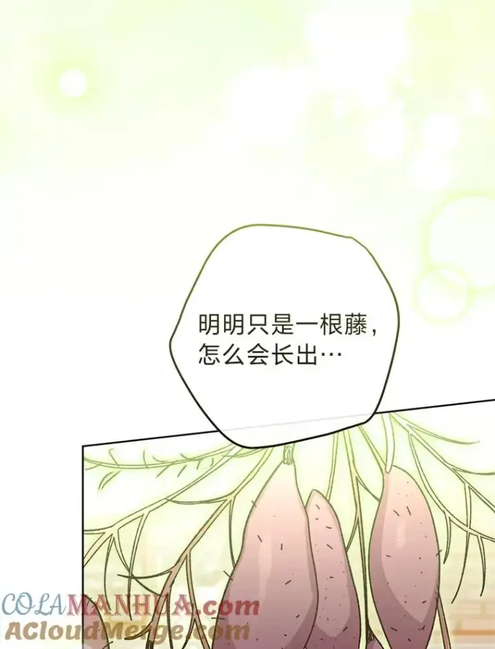 漫画《小嫔妃想要安安静静地生活》44.阿霞的另一面第73张图