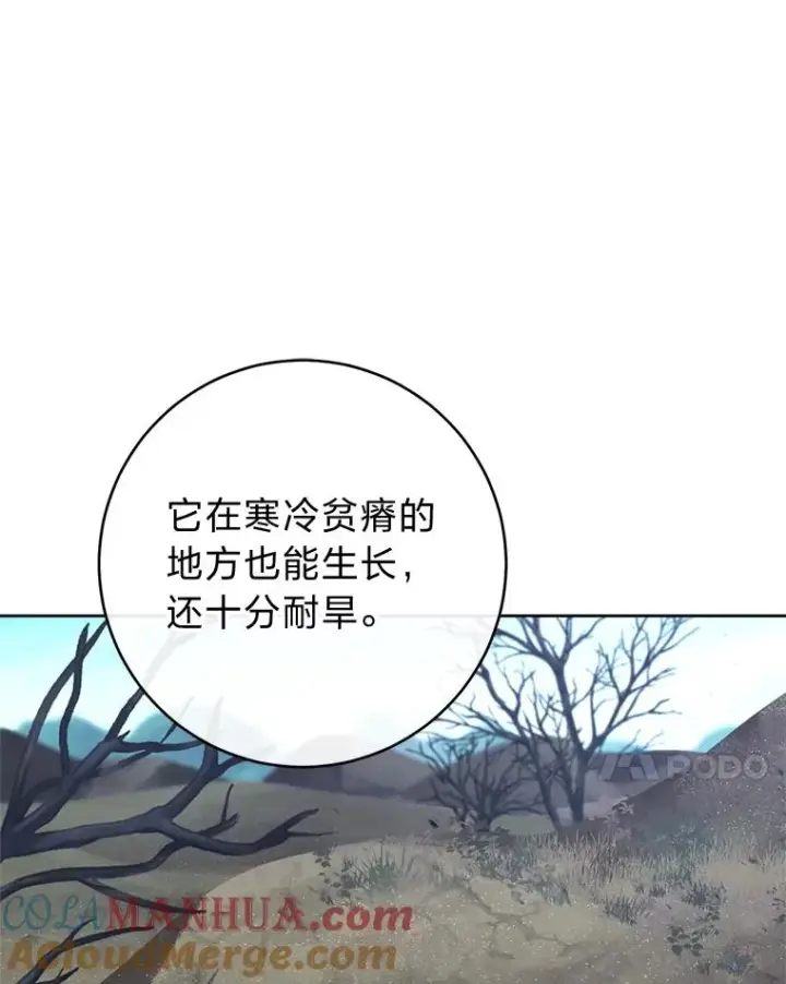 漫画《小嫔妃想要安安静静地生活》44.阿霞的另一面第77张图
