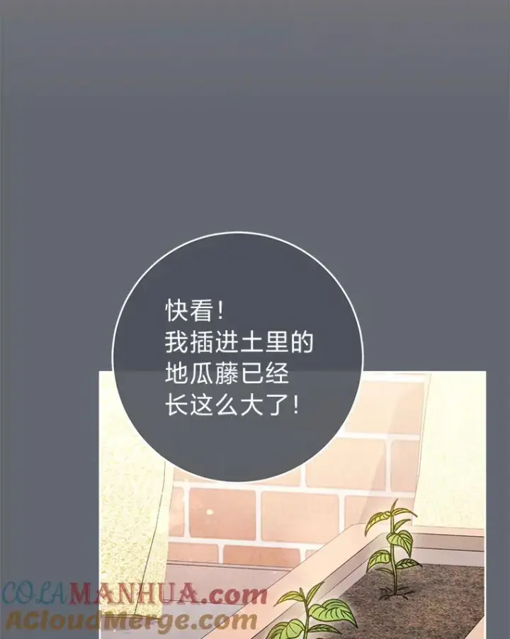 漫画《小嫔妃想要安安静静地生活》44.阿霞的另一面第85张图