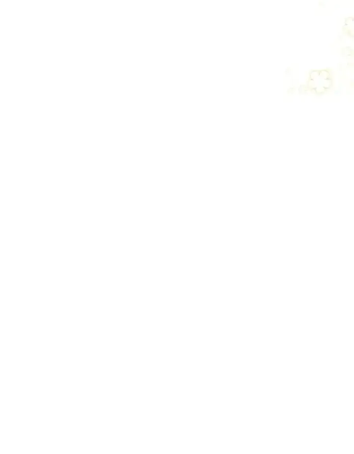 漫画《小嫔妃想要安安静静地生活》45.投桃报李第78张图