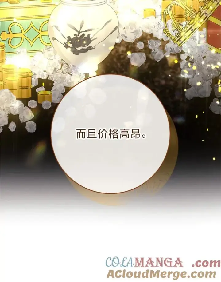 漫画《小嫔妃想要安安静静地生活》57.宰相的野心第33张图