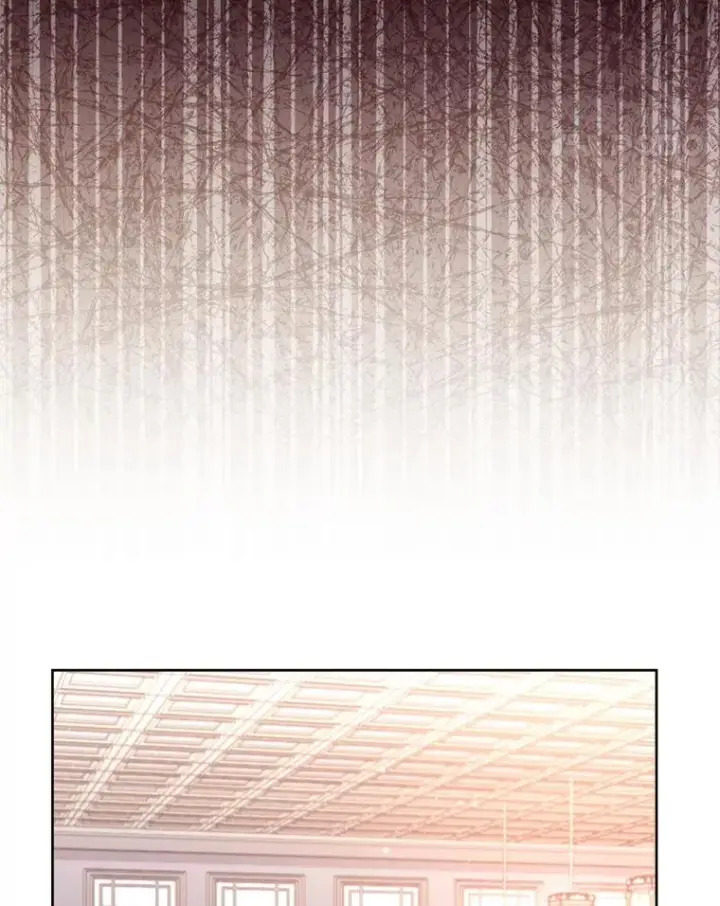 漫画《小嫔妃想要安安静静地生活》57.宰相的野心第52张图
