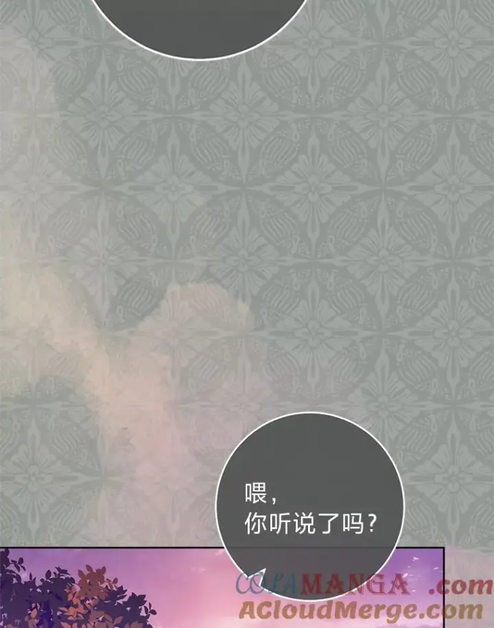 《小嫔妃想要安安静静地生活》69.等不来的人图41