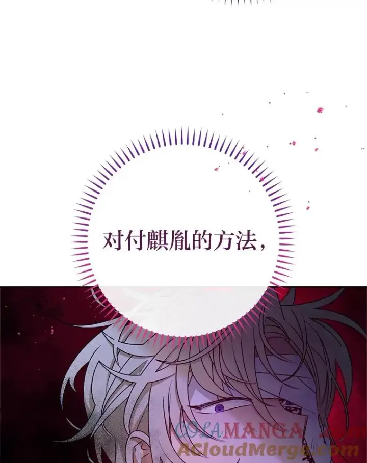 漫画《小嫔妃想要安安静静地生活》71.嫉妒之心第125张图