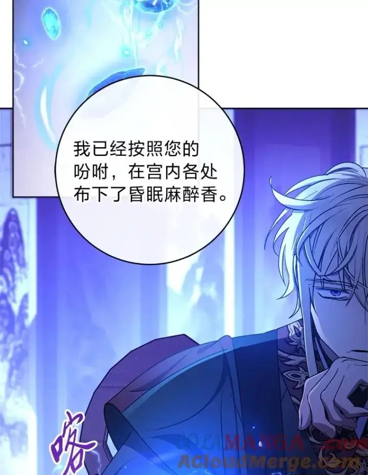 《小嫔妃想要安安静静地生活》73.三次机会图133