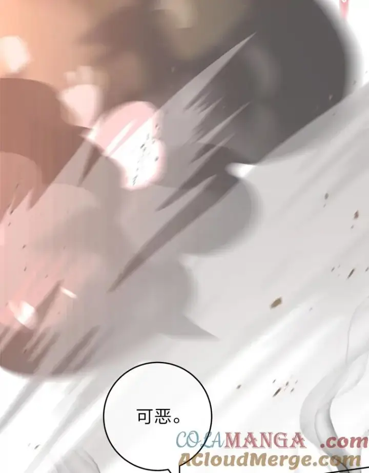 漫画《小嫔妃想要安安静静地生活》75.所爱之人第57张图