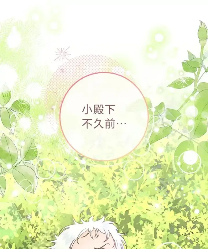 漫画《小嫔妃想要安安静静地生活》82.小殿下来了第16张图