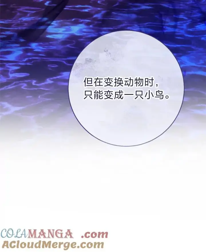 《小嫔妃想要安安静静地生活》85.孤云的身世图13