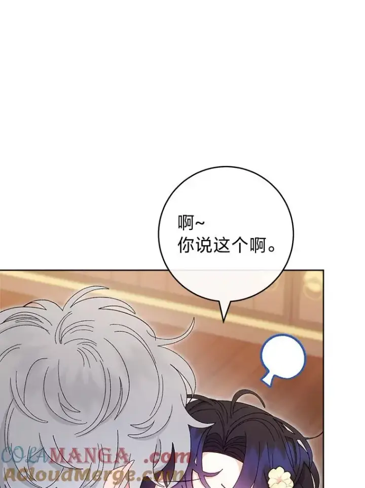 《小嫔妃想要安安静静地生活》85.孤云的身世图97