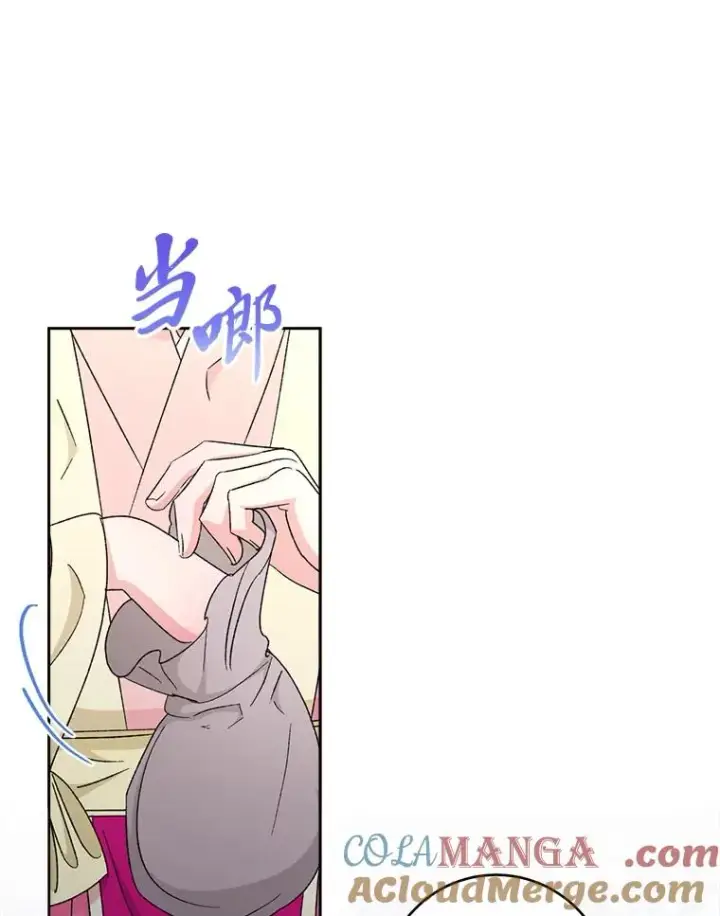 《小嫔妃想要安安静静地生活》88.绑票图53