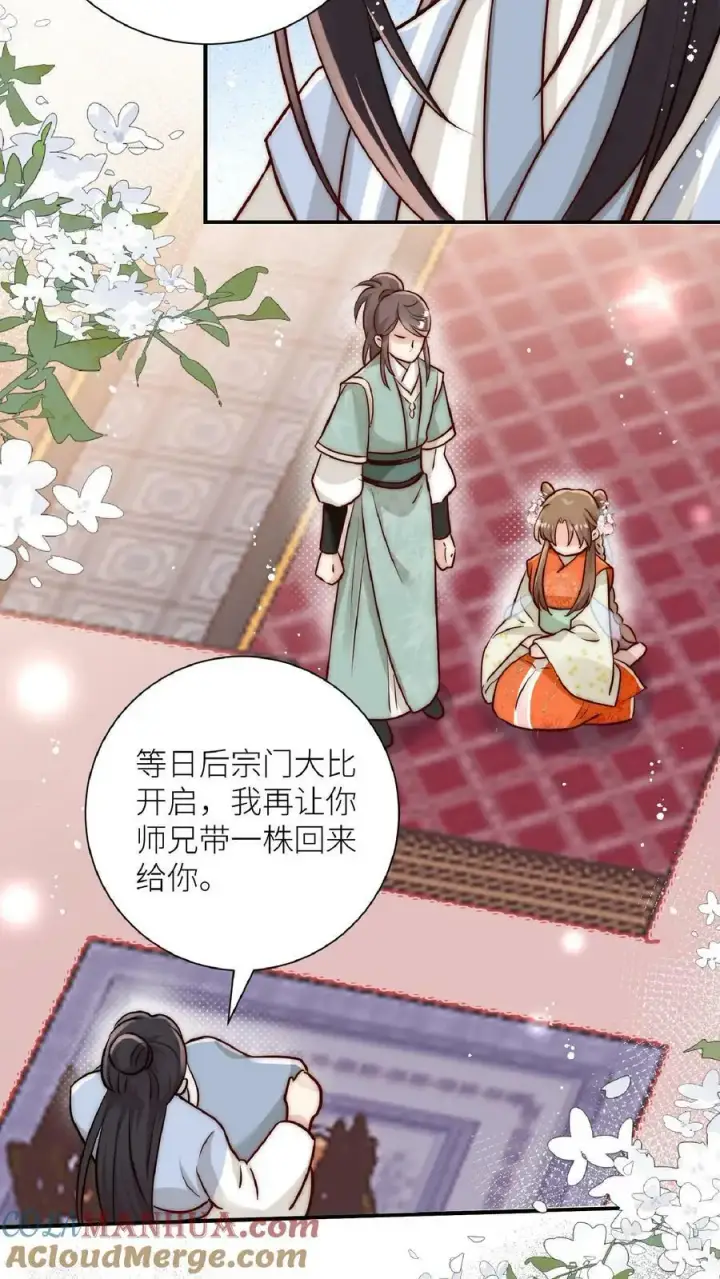 漫画《小师妹明明超强却过分沙雕》第1话 穿书炮灰今天开始摆烂了第13张图