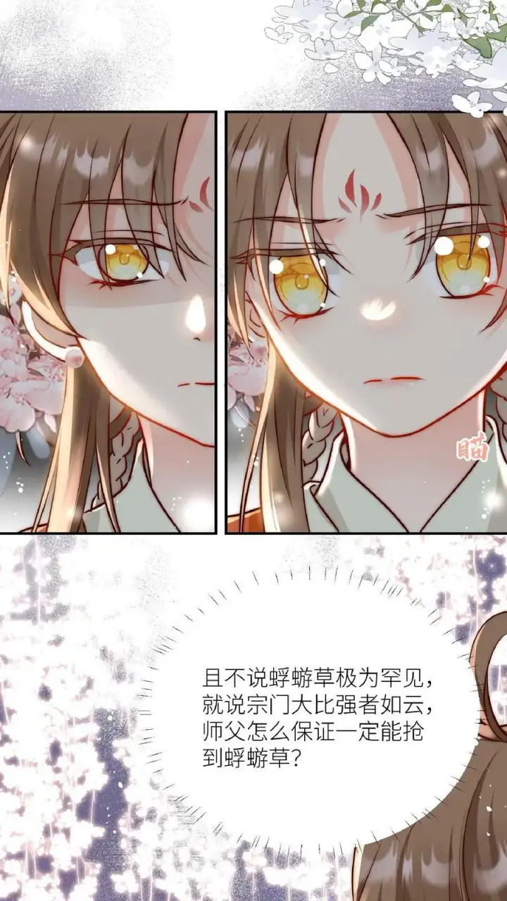 漫画《小师妹明明超强却过分沙雕》第1话 穿书炮灰今天开始摆烂了第14张图